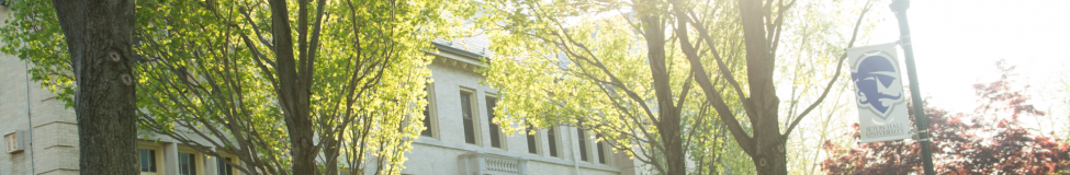 Seton Hill Announces Online MBA in Forensic Accounting & Fraud Examination